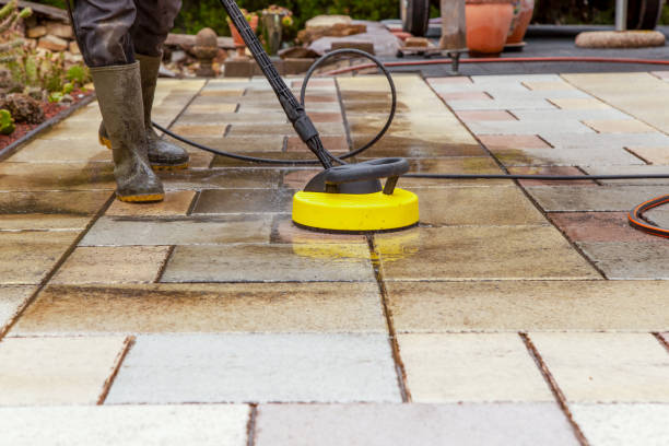 Best Dumpster Area Cleaning  in North Hills, NY
